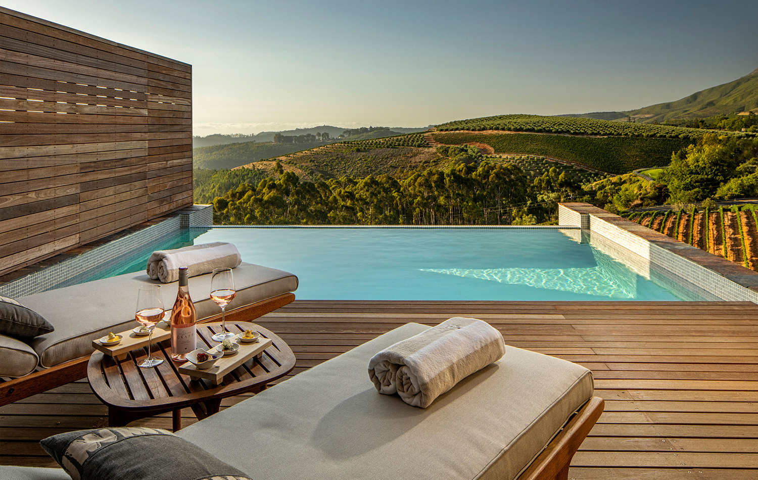 Superior Lodge Pool And Terrace At Delaire Graff Estate Luxury Hotel Stellenbosch